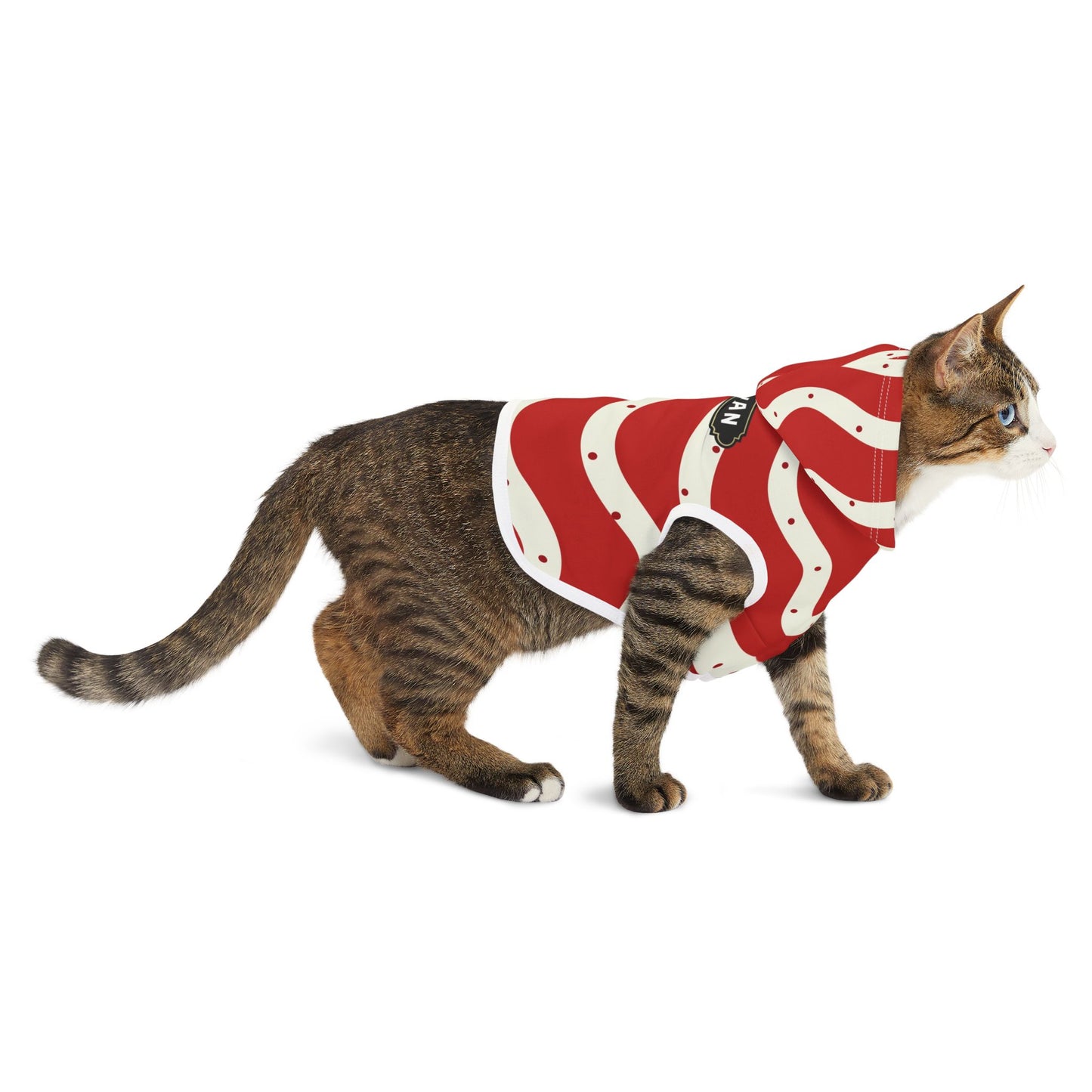 Christmas Pet Hoodie