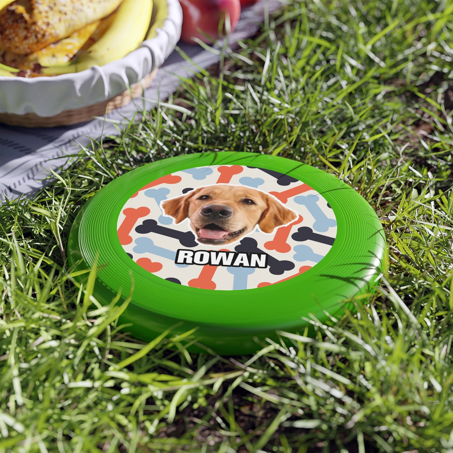 Pet Customization Wham-O Frisbee