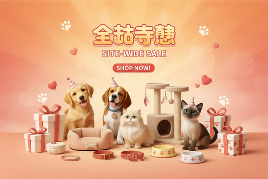 Today Only:30% Off Everything