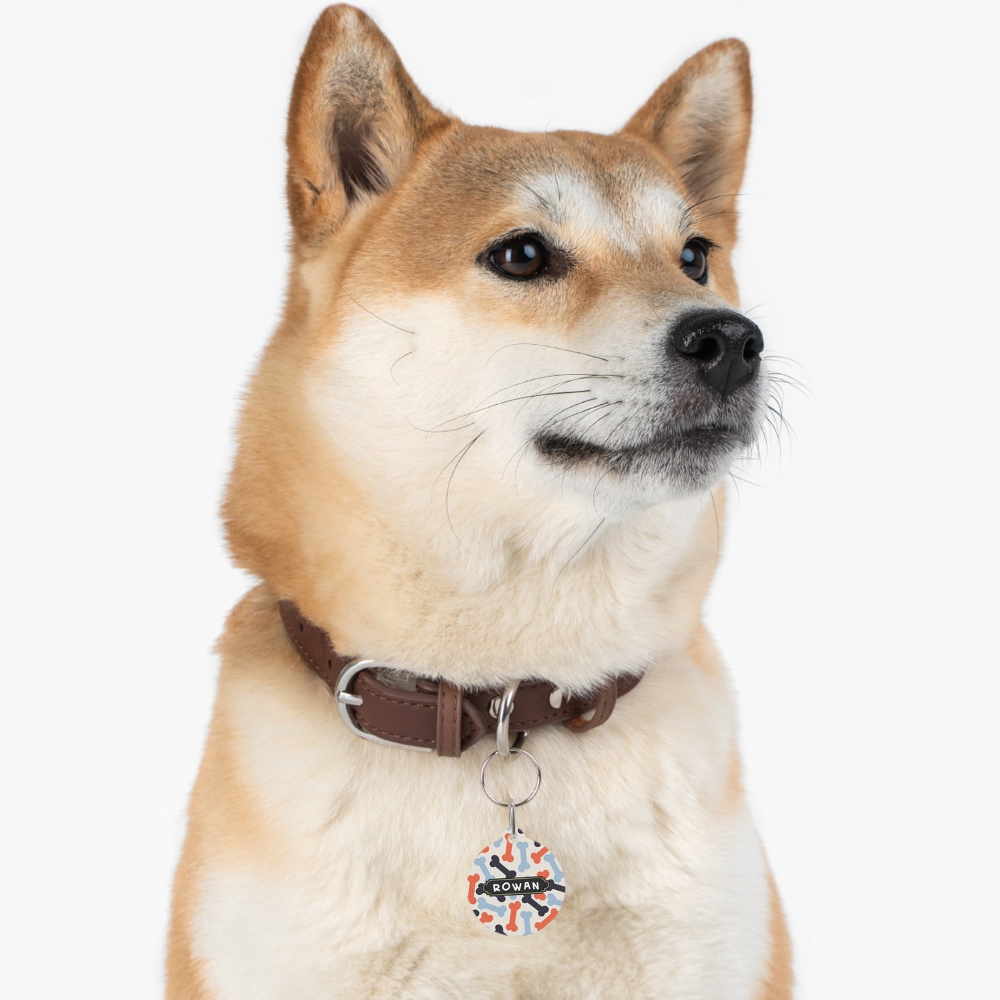 Round pet tag