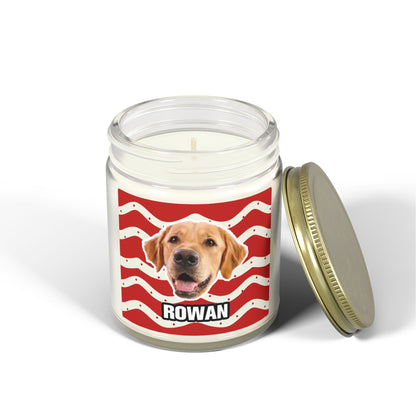 Christmas Scented Candles, Coconut Apricot Wax (4oz, 9oz)