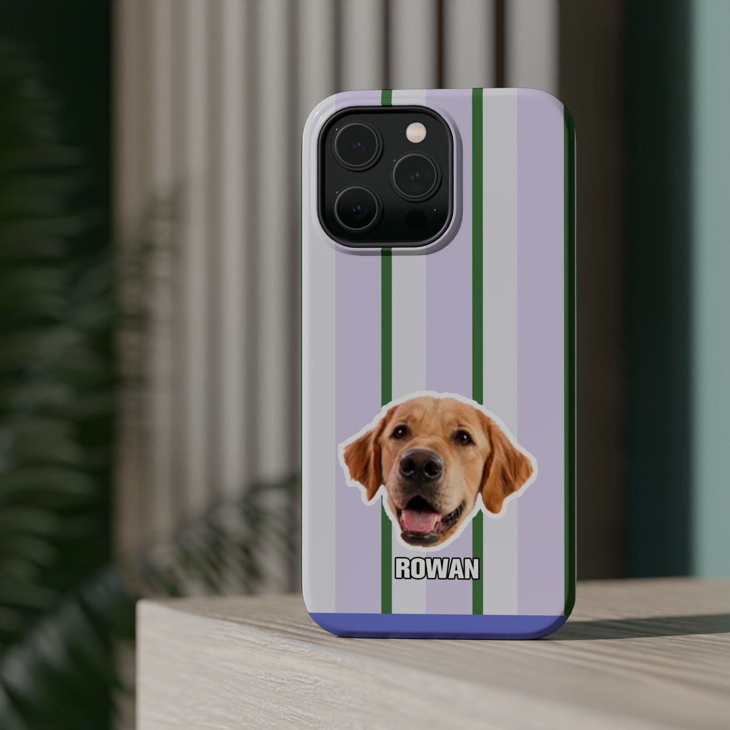 Cute Magnetic Impact-Resistant Cases