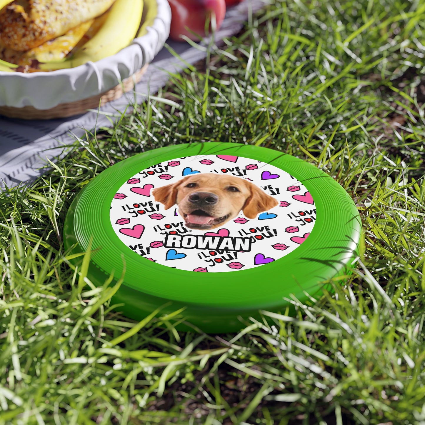 Thanksgiving Wham-O Frisbee