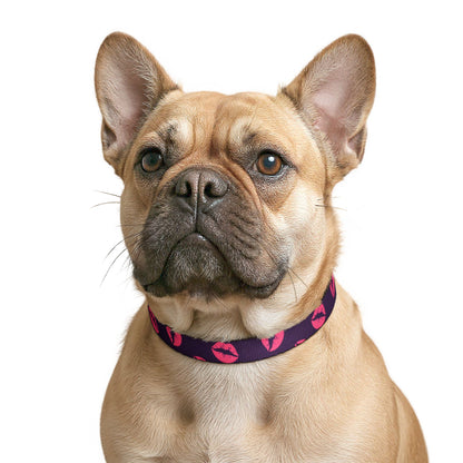 Thanksgiving Clip-on Pet Collar