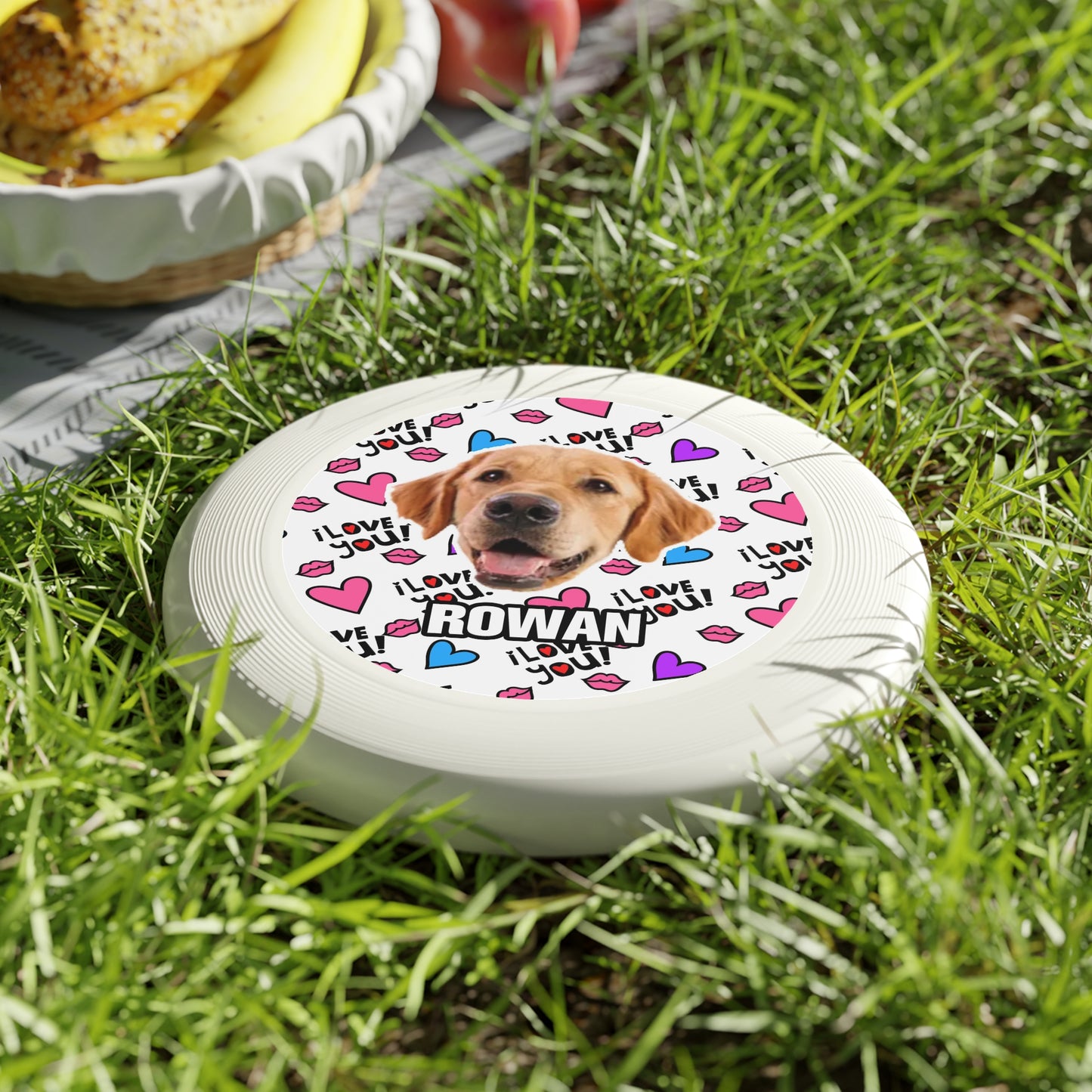 Thanksgiving Wham-O Frisbee