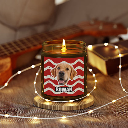 Christmas Scented Candles, Coconut Apricot Wax (4oz, 9oz)