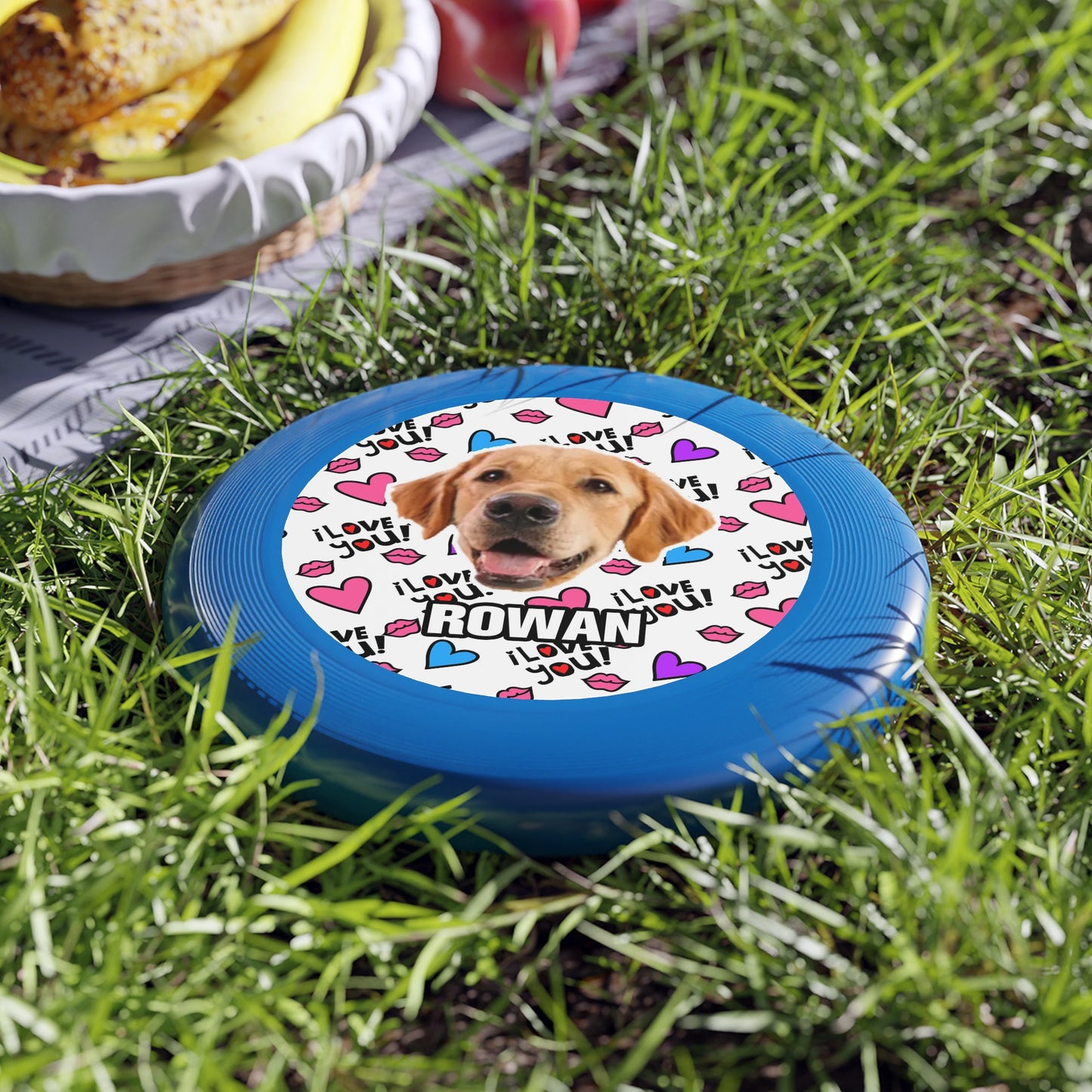 Thanksgiving Wham-O Frisbee