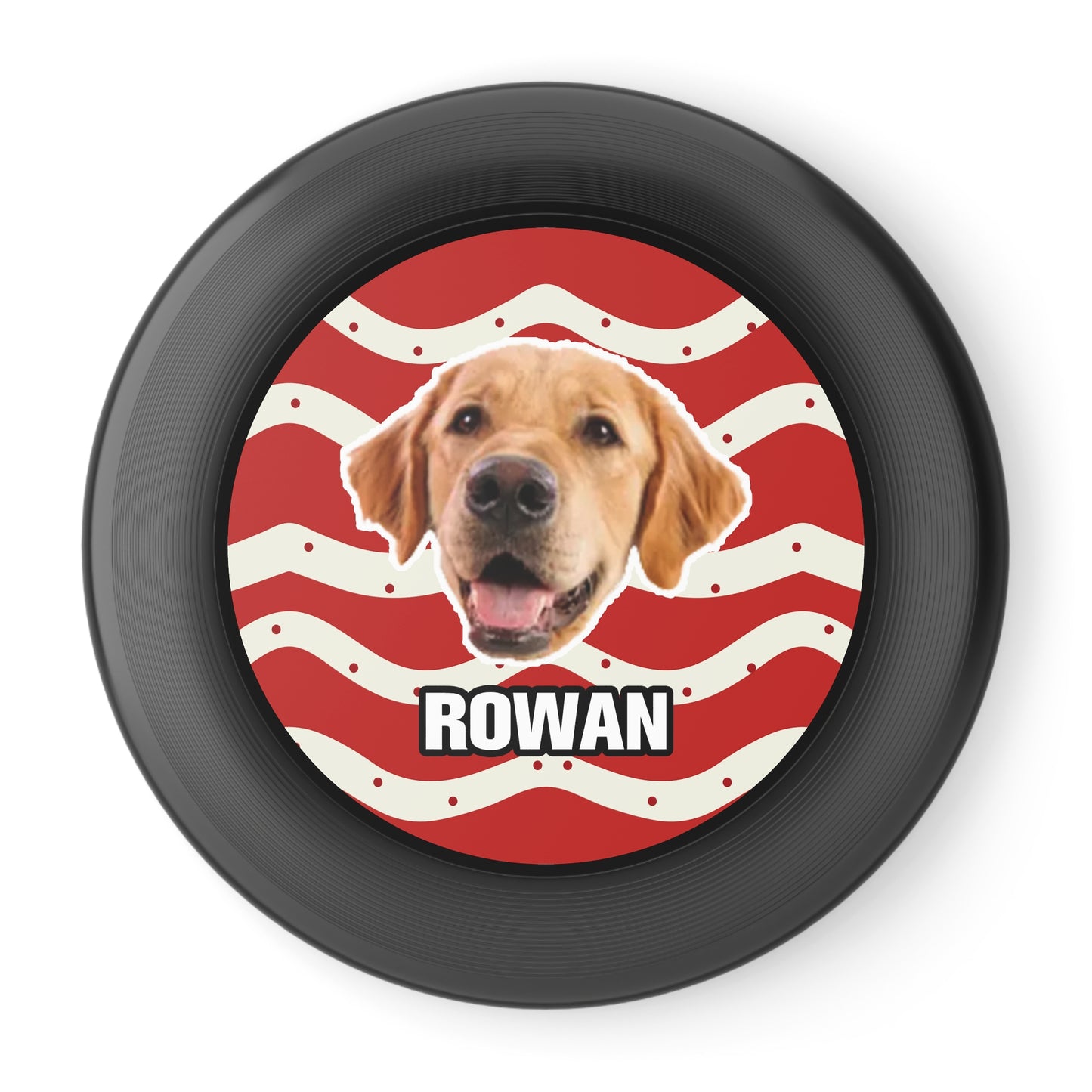 Christmas Wham-O Frisbee