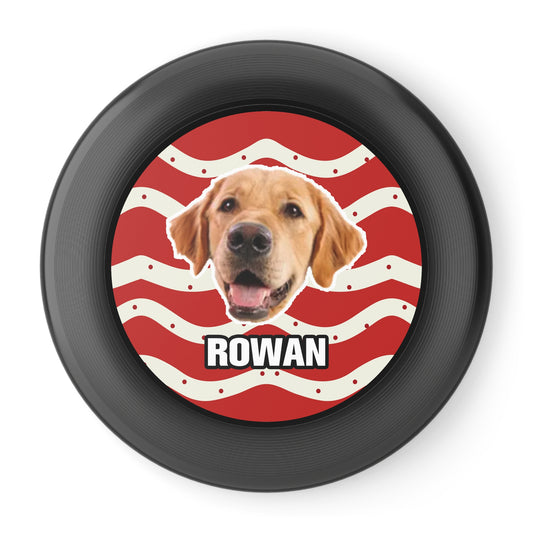 Christmas Wham-O Frisbee