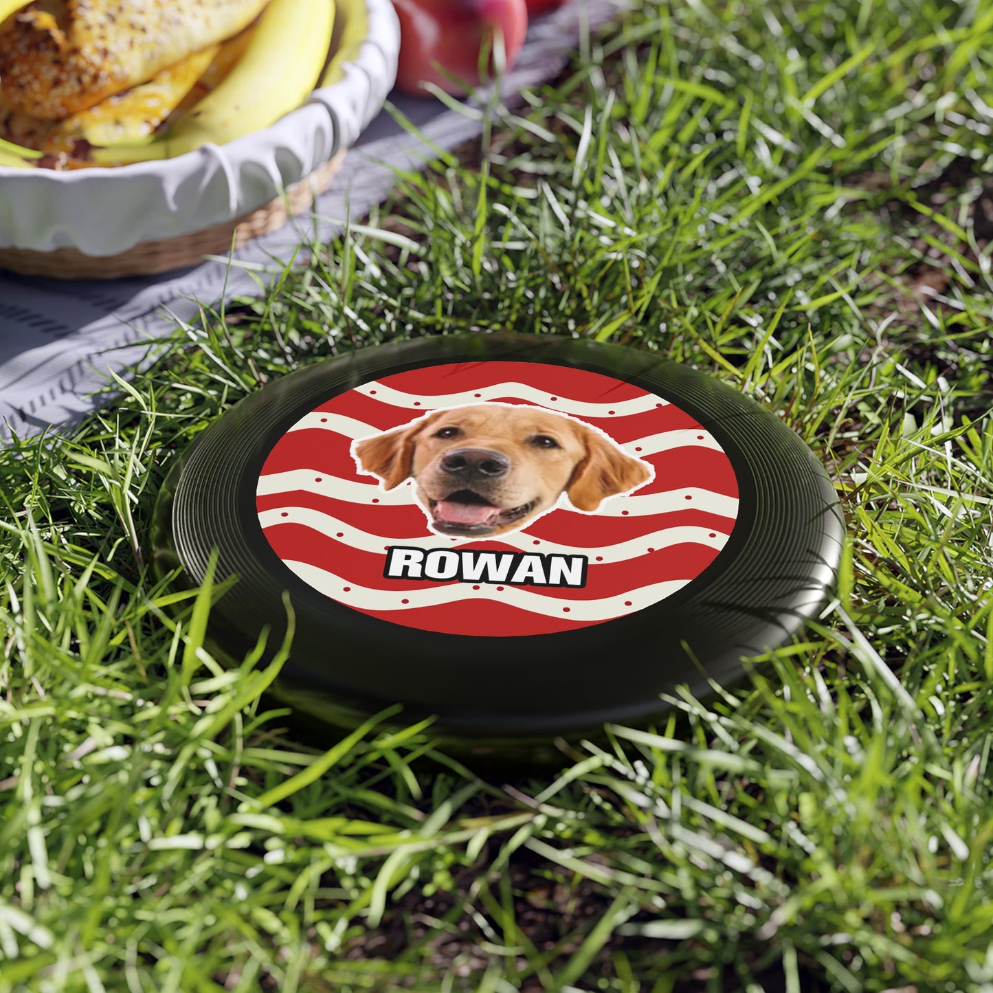 Christmas Wham-O Frisbee