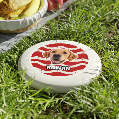 Christmas Wham-O Frisbee