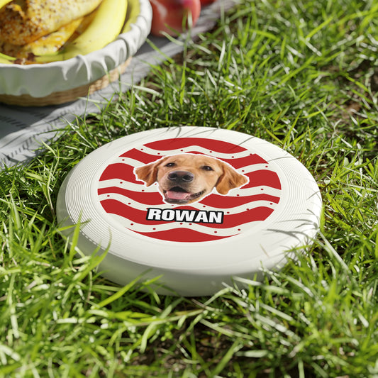 Christmas Wham-O Frisbee