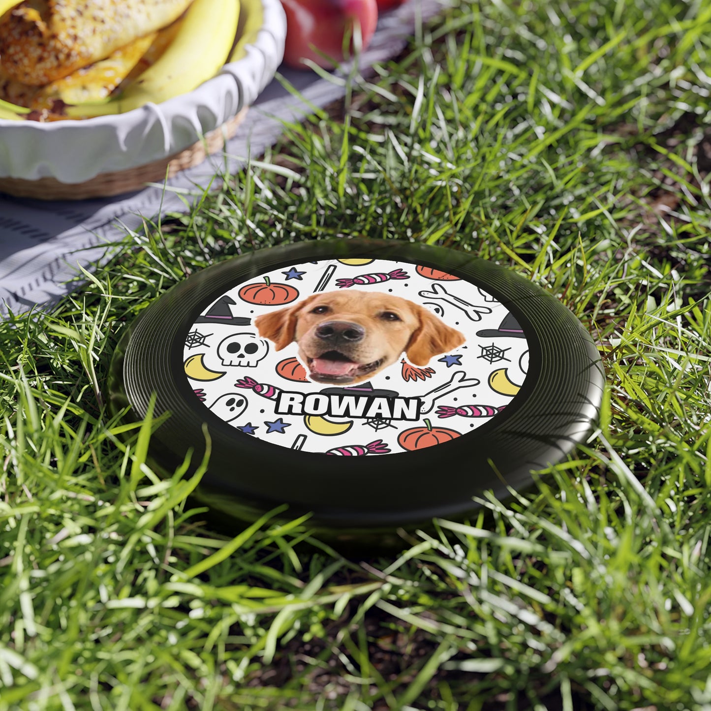 Halloween Wham-O Frisbee