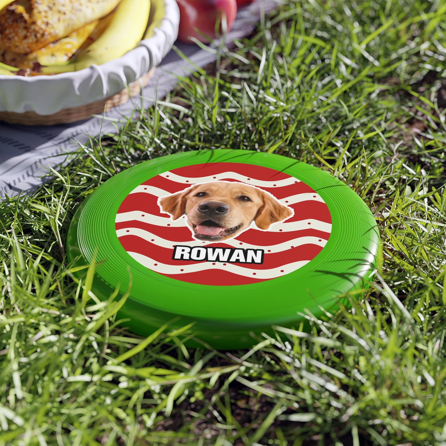 Christmas Wham-O Frisbee