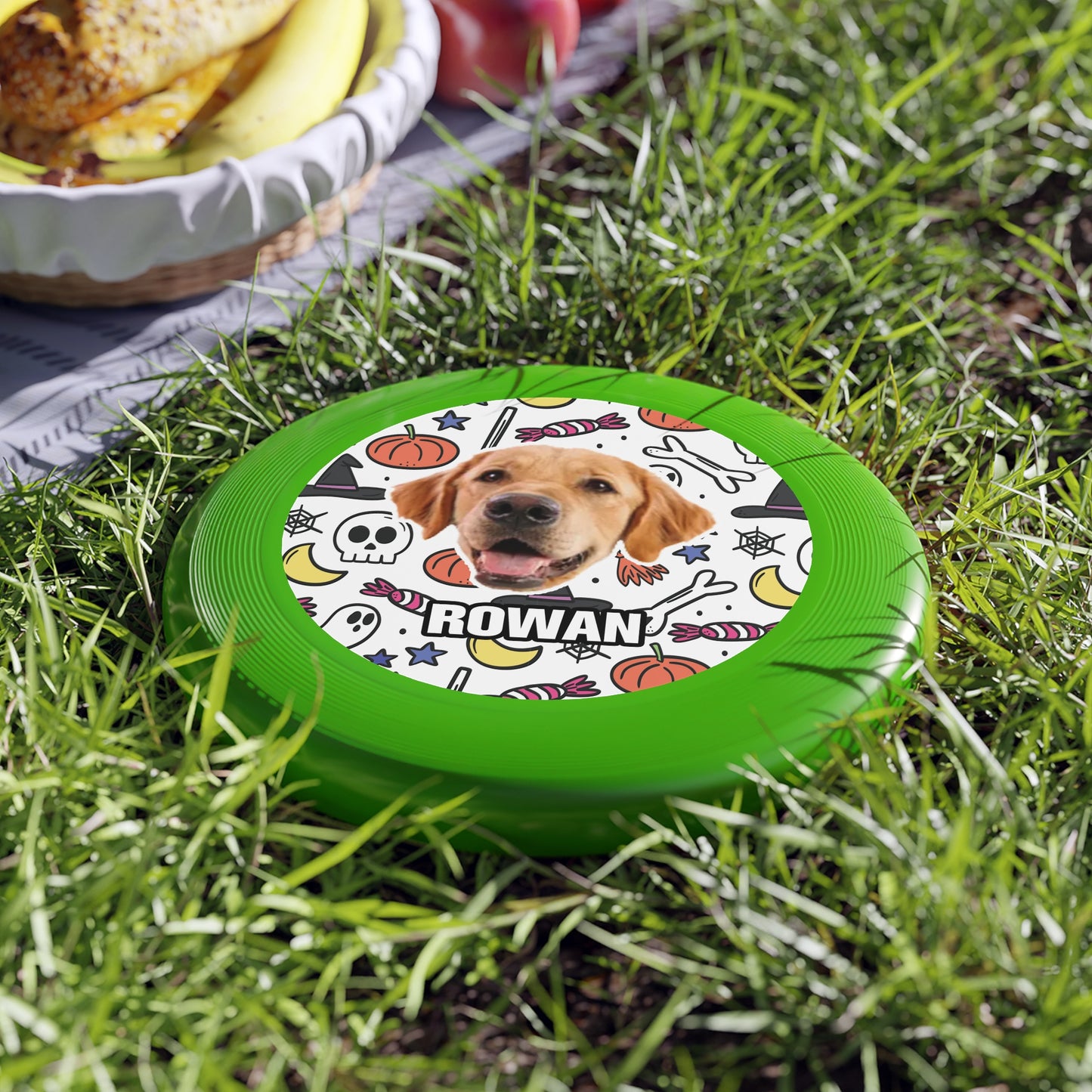 Halloween Wham-O Frisbee