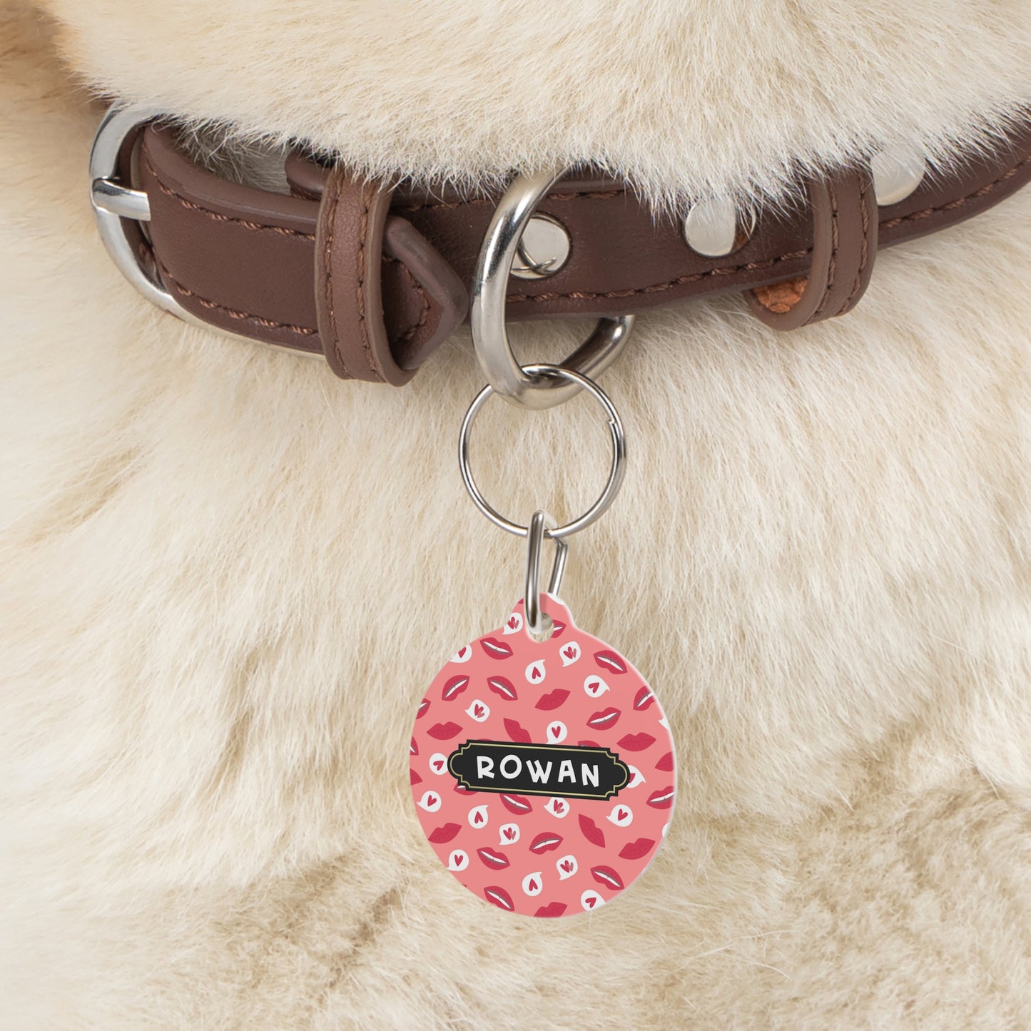 Thanksgiving Round pet tag