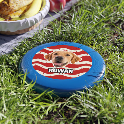 Christmas Wham-O Frisbee