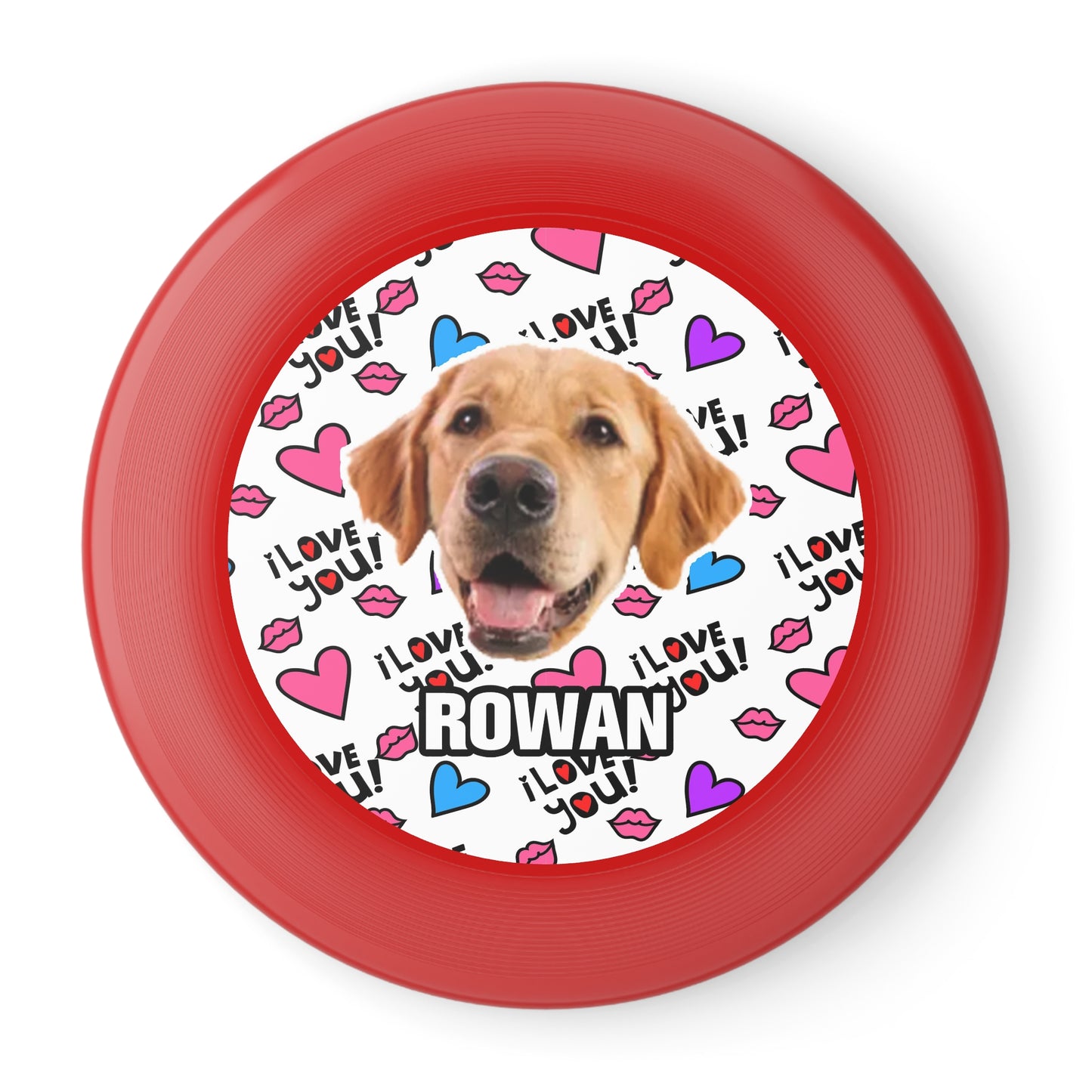 Thanksgiving Wham-O Frisbee