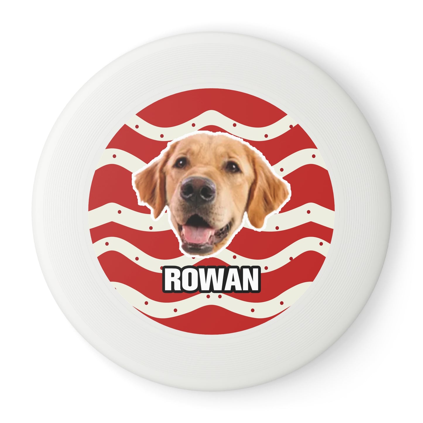 Christmas Wham-O Frisbee