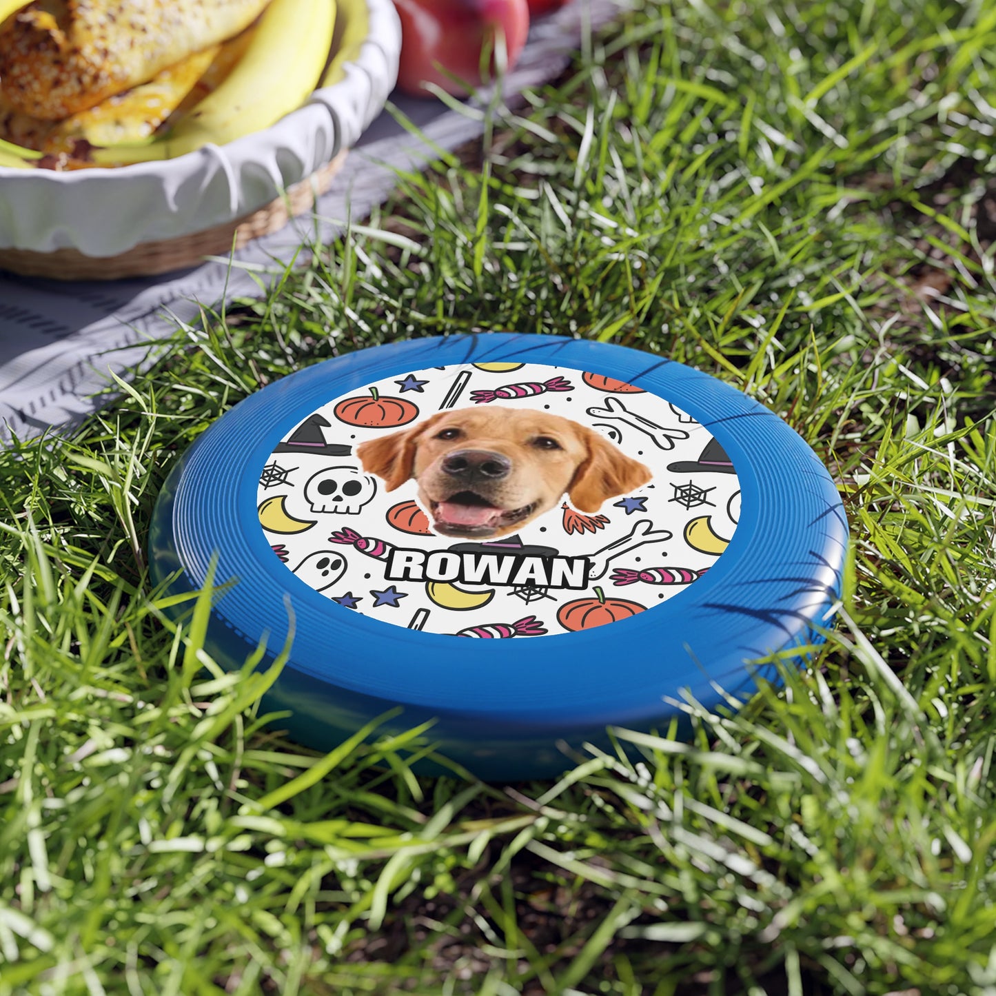 Halloween Wham-O Frisbee