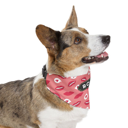 Thanksgiving Pet Bandana Collar