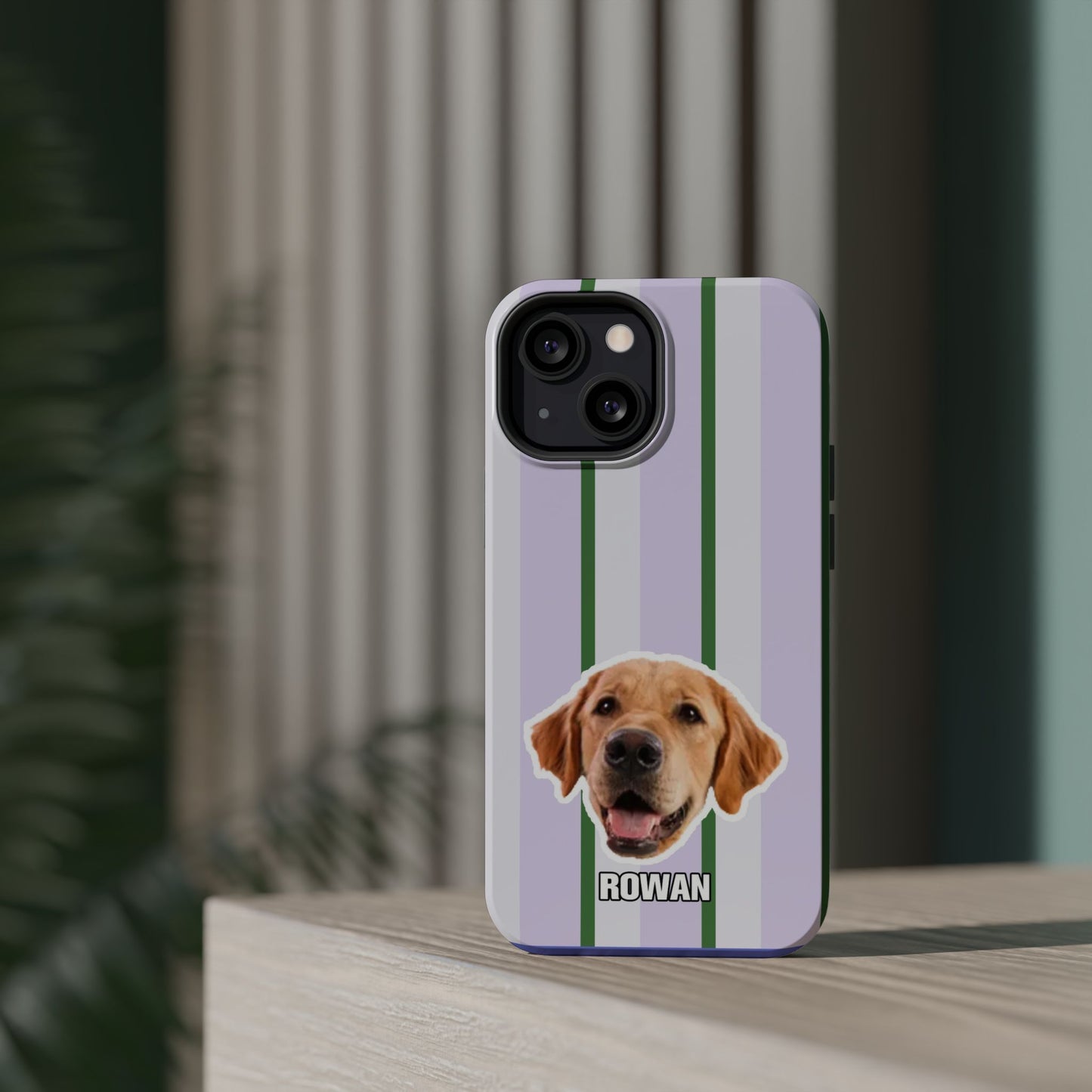 Cute Magnetic Impact-Resistant Cases