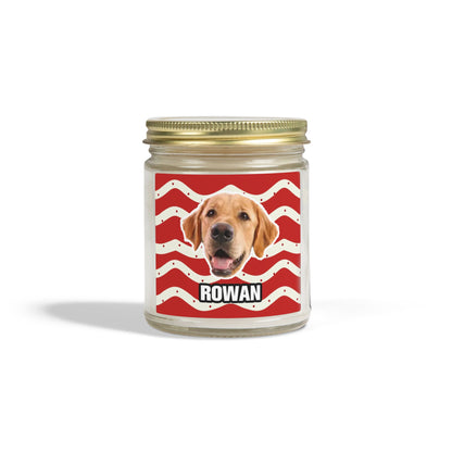 Christmas Scented Candles, Coconut Apricot Wax (4oz, 9oz)