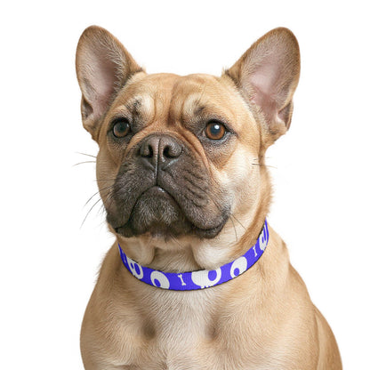 Halloween Clip-on Pet Collar