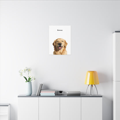 Modern Pet Portrait