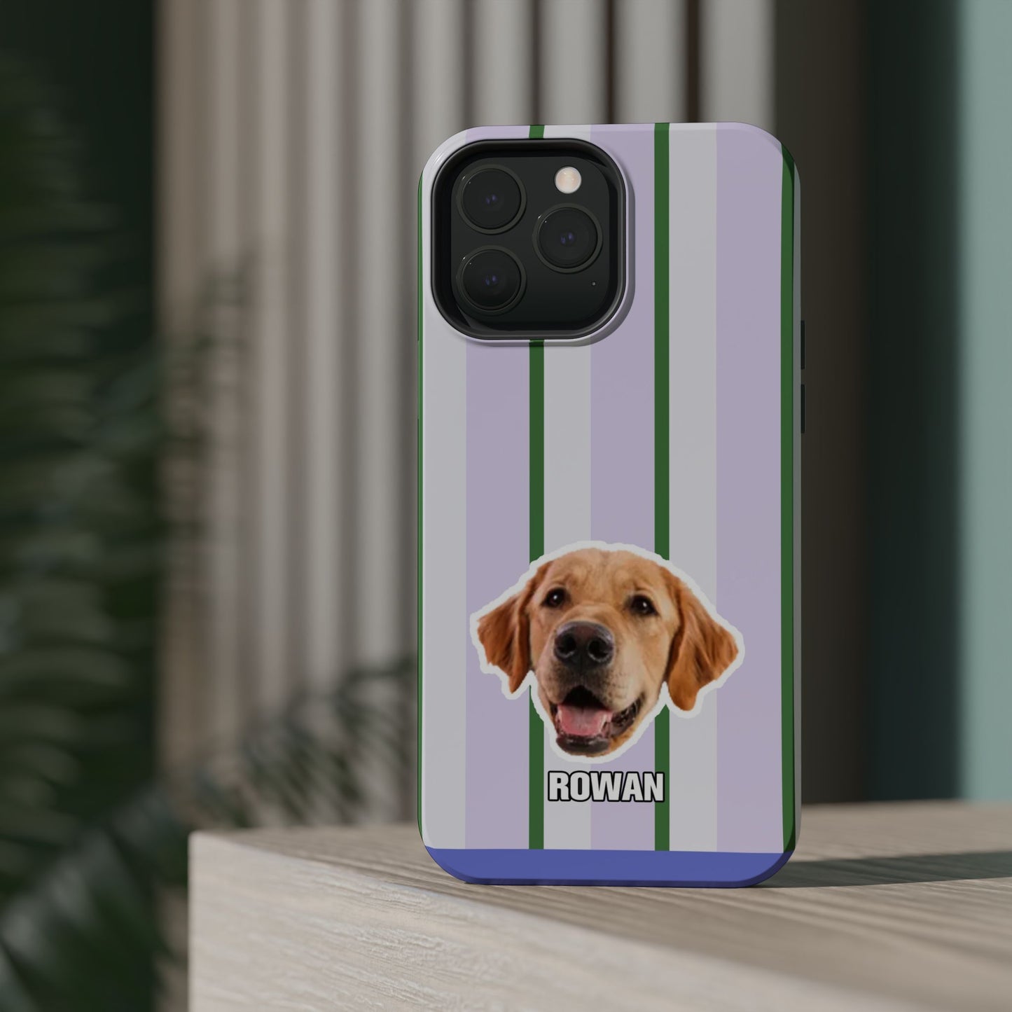 Cute Magnetic Impact-Resistant Cases