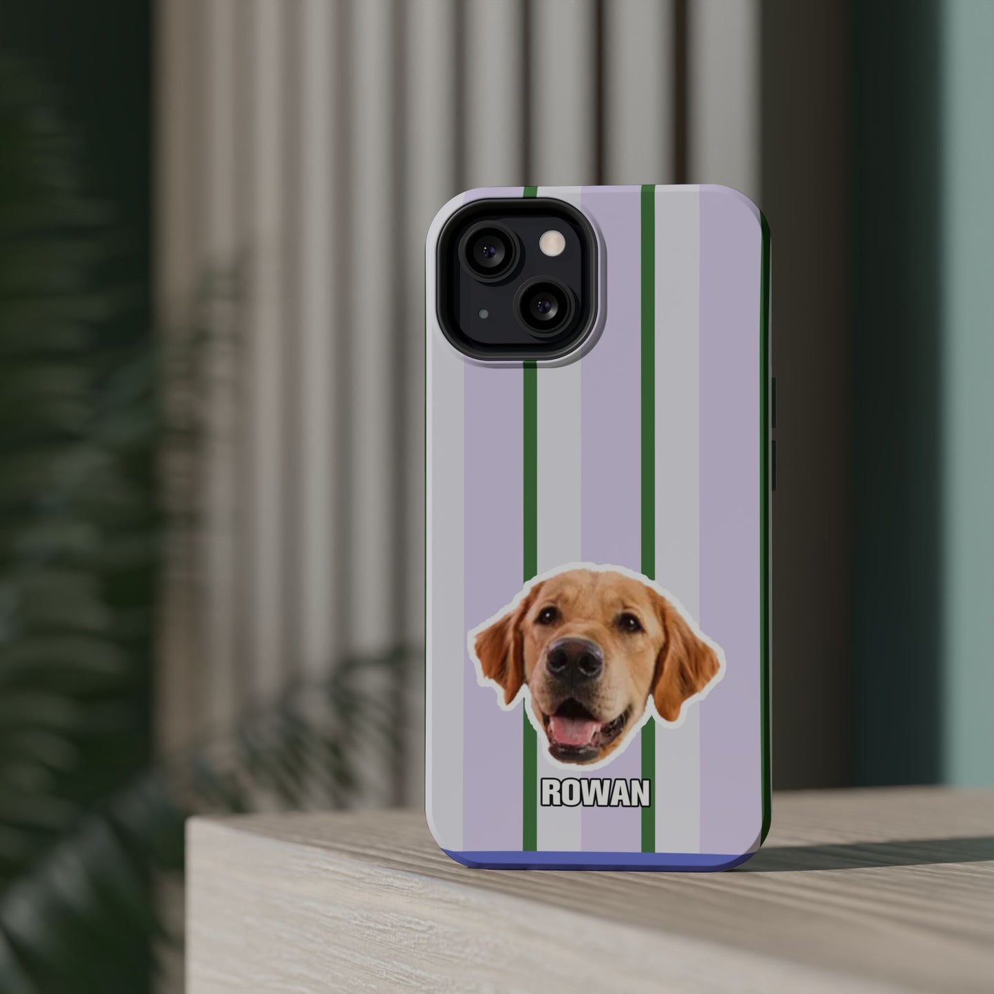 Cute Magnetic Impact-Resistant Cases