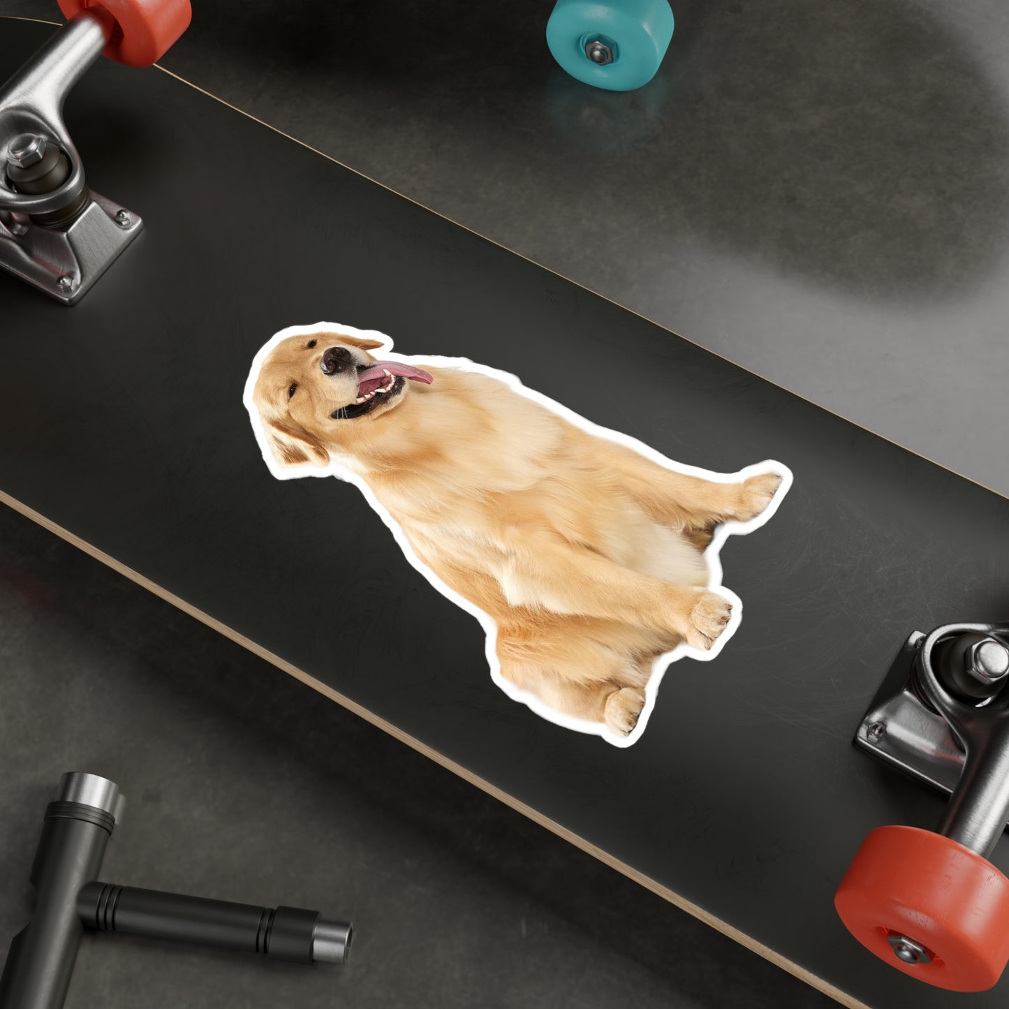 Pet Customization Kiss-Cut Vinyl Decals