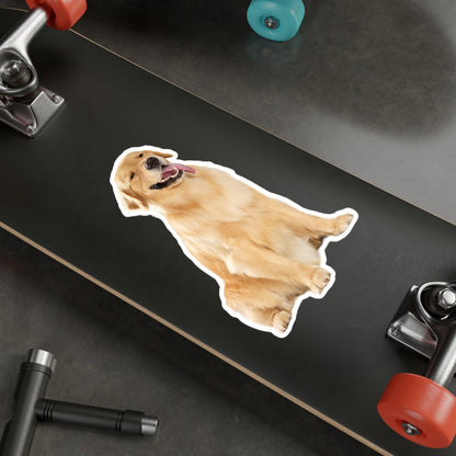 Pet Customization Kiss-Cut Vinyl Decals