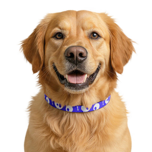 Halloween Clip-on Pet Collar