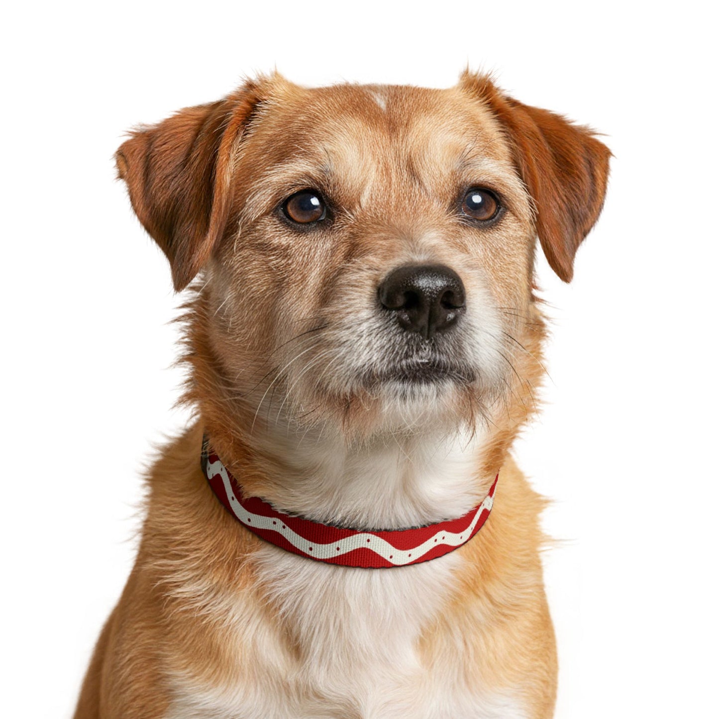 Christmas Clip-on Pet Collar