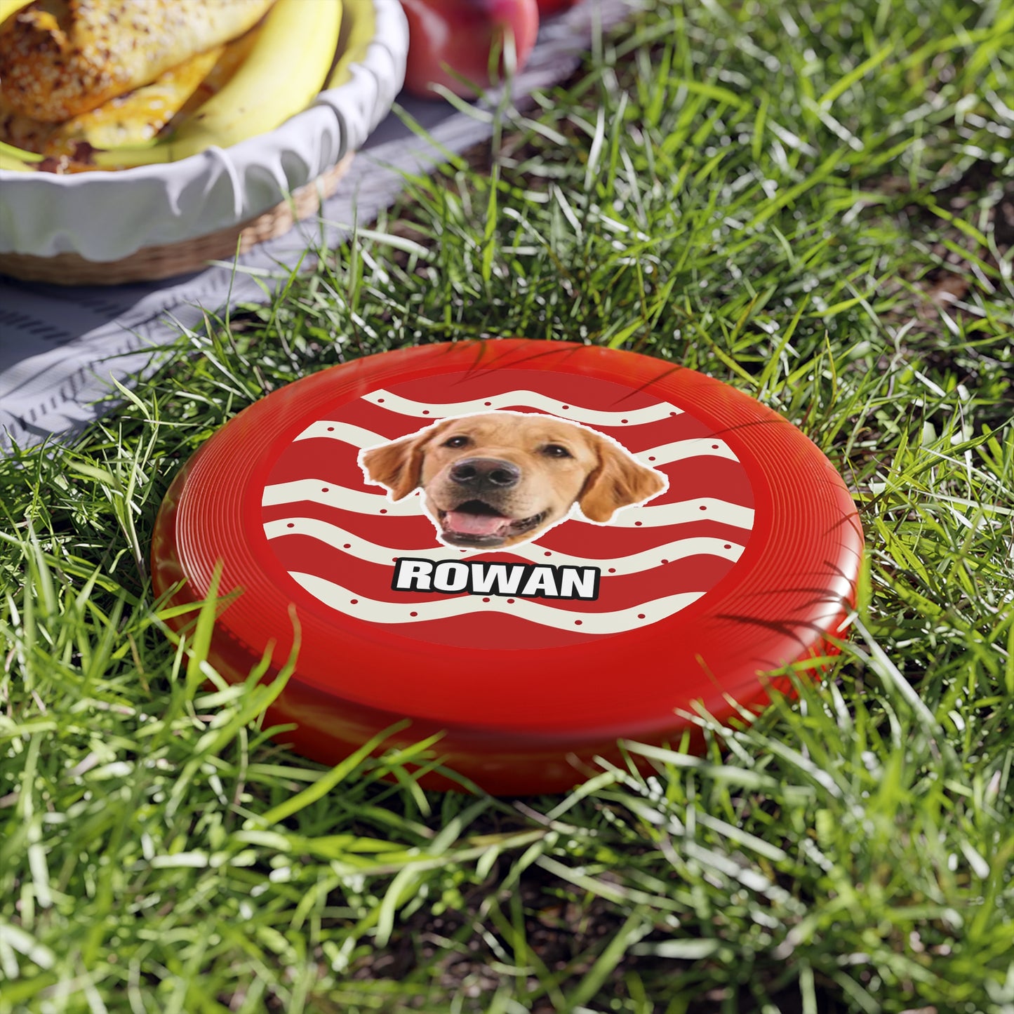Christmas Wham-O Frisbee