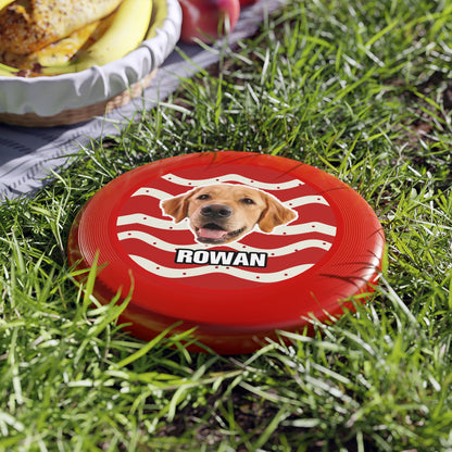 Christmas Wham-O Frisbee