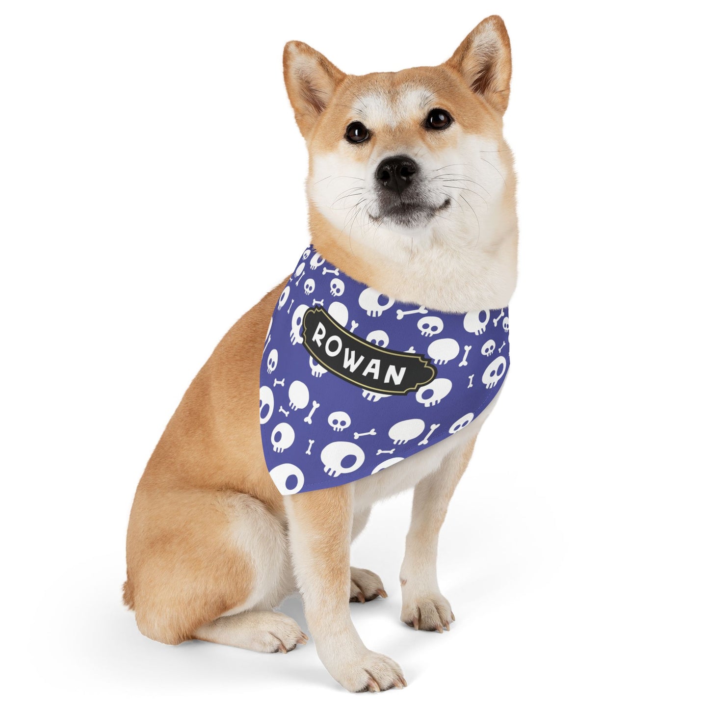 Halloween Pet Bandana Collar