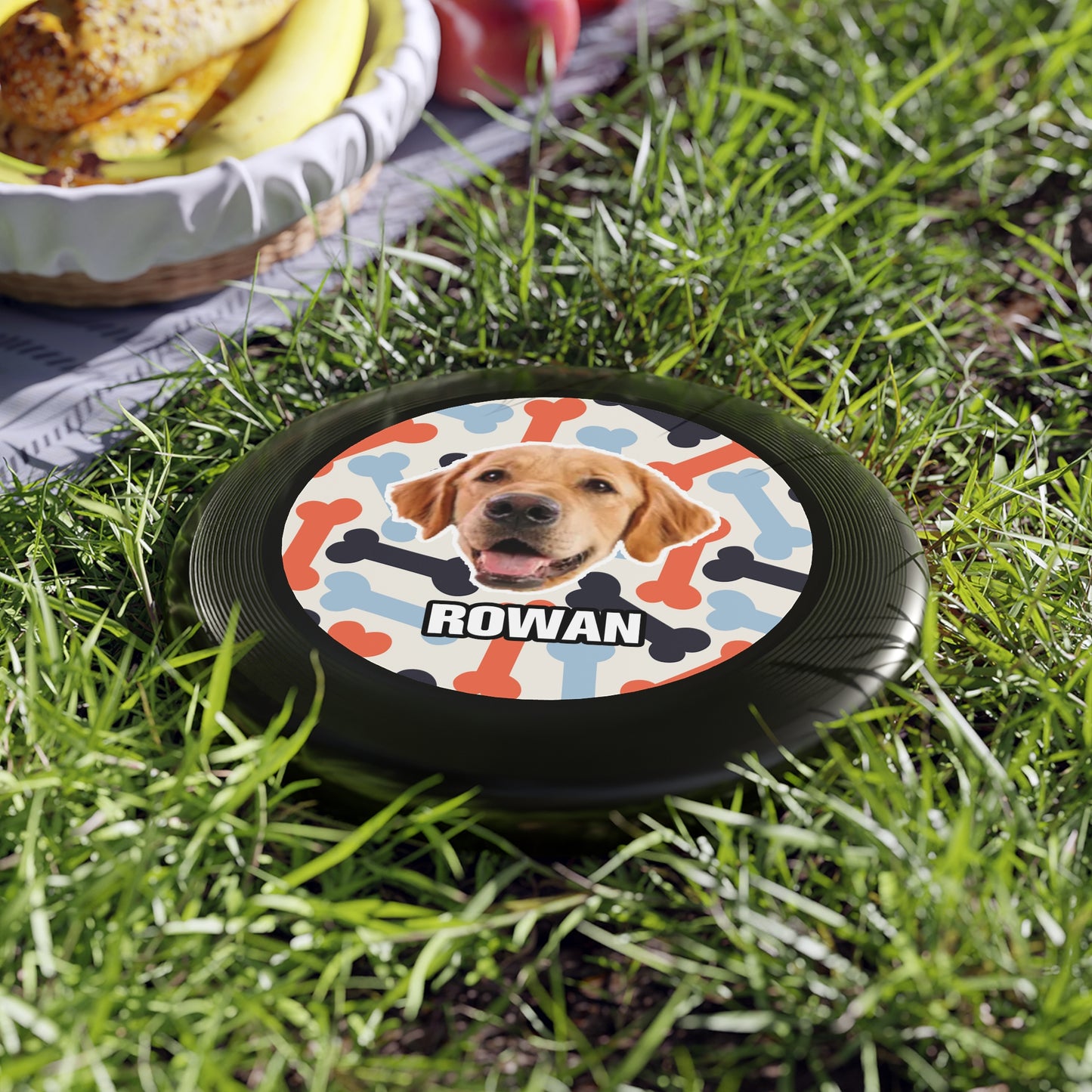 Pet Customization Wham-O Frisbee