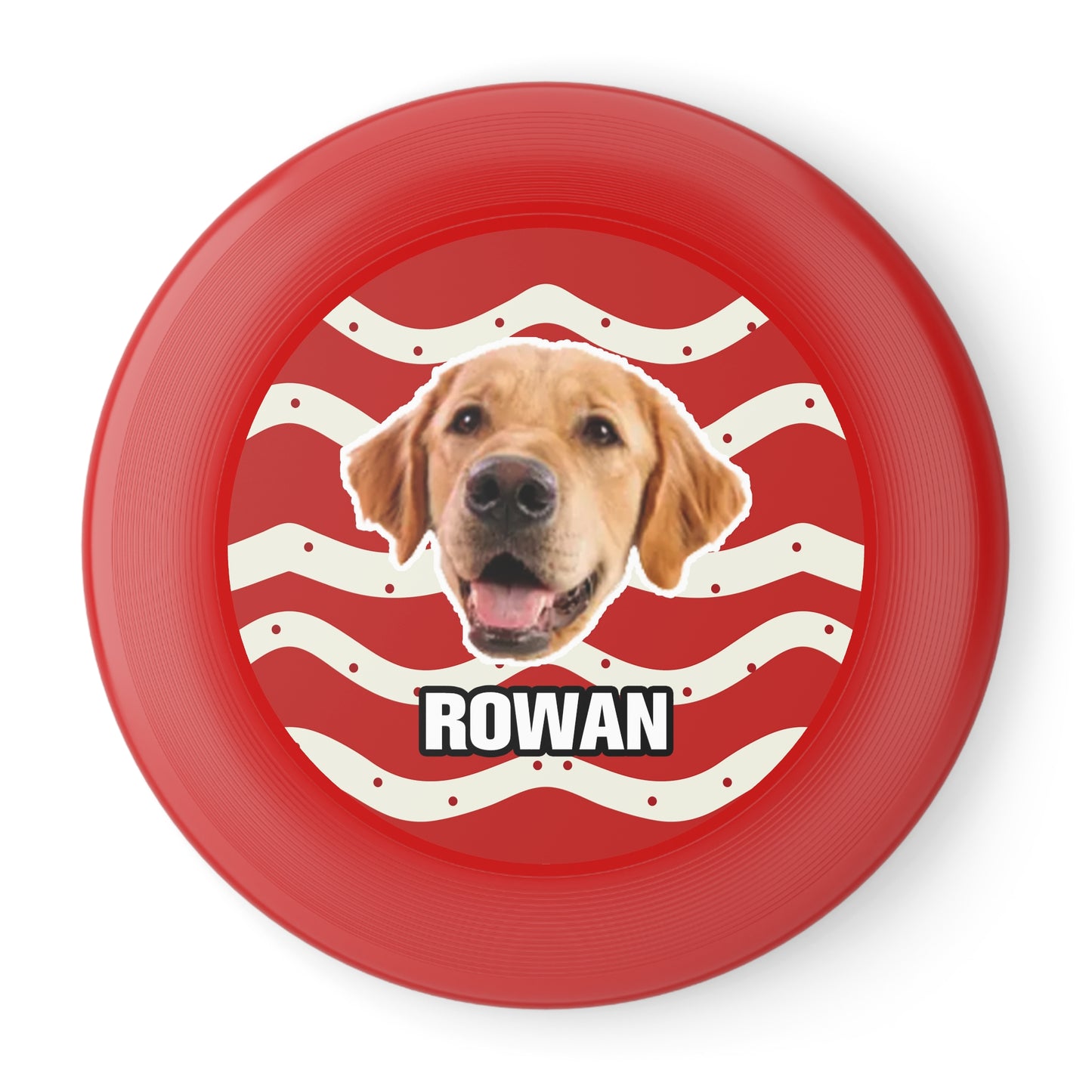 Christmas Wham-O Frisbee