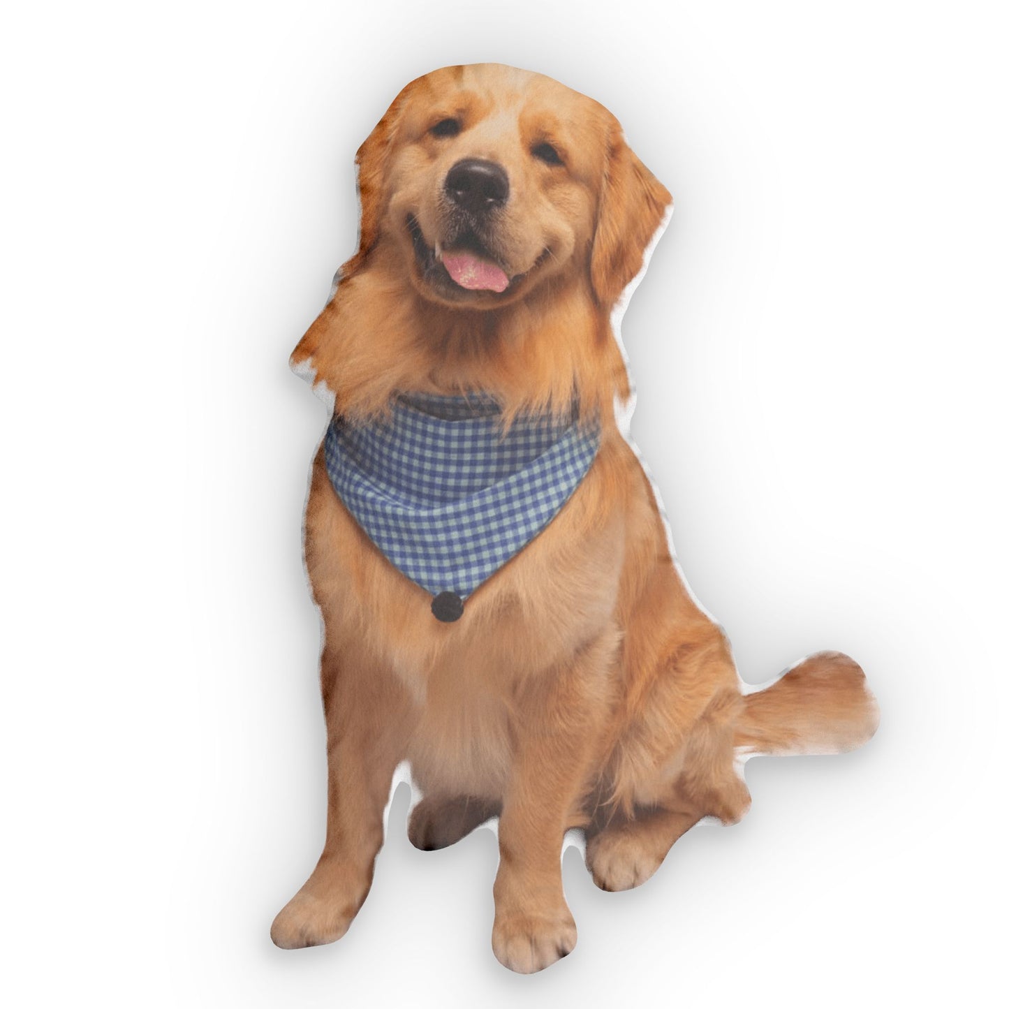 Custom Shaped Pet Portrait Pillows