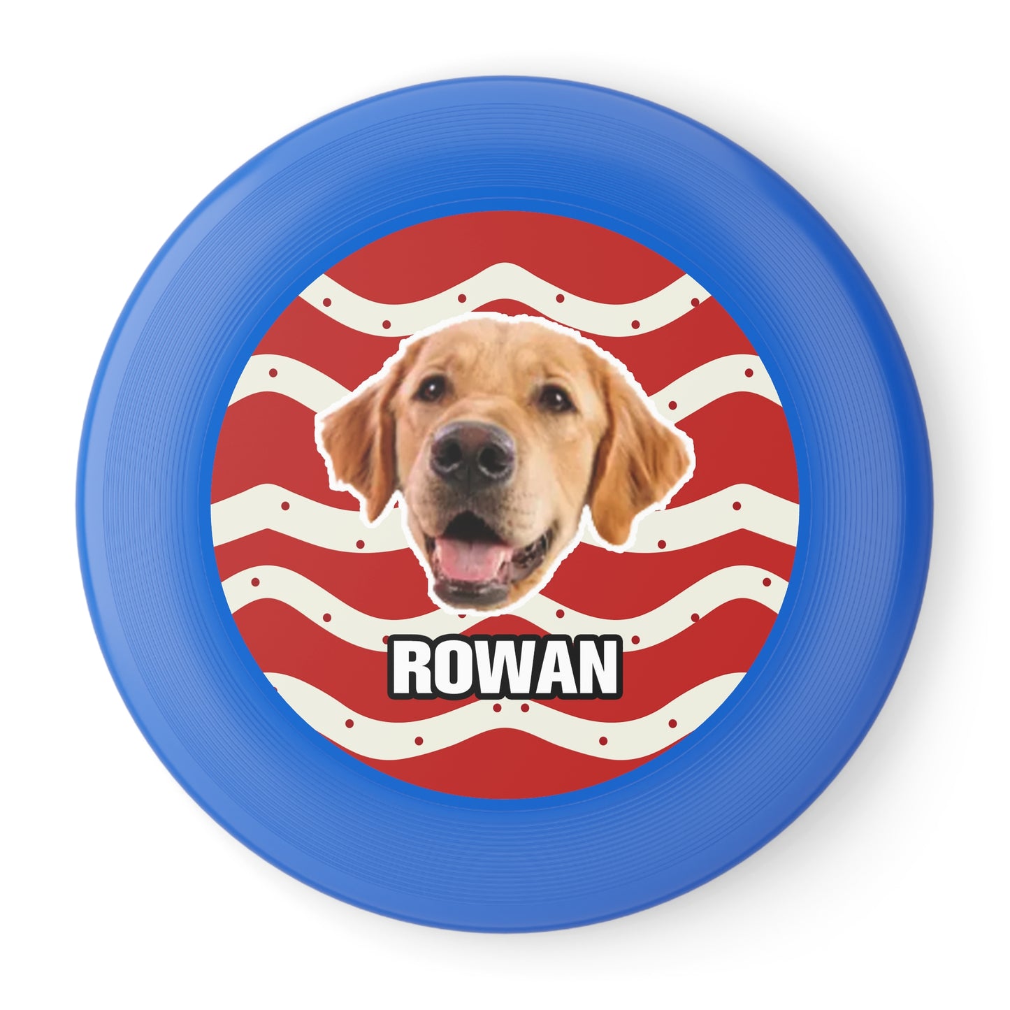 Christmas Wham-O Frisbee