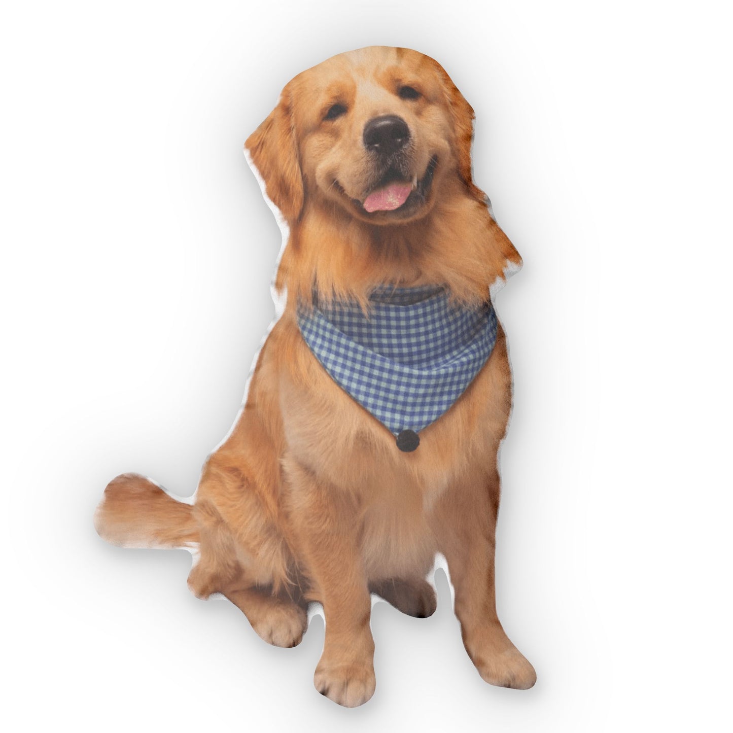 Custom Shaped Pet Portrait Pillows