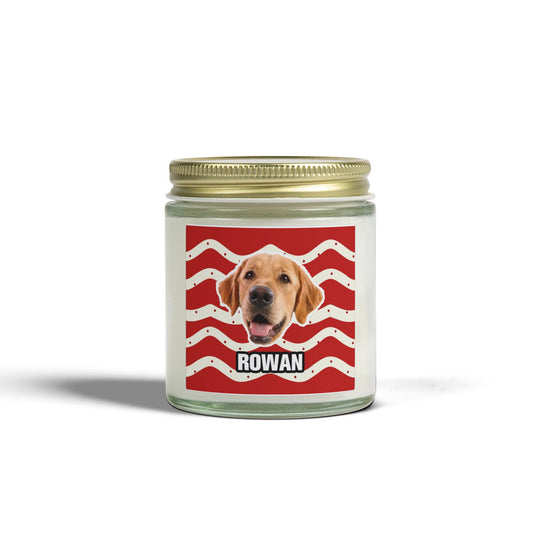 Christmas Scented Candles, Coconut Apricot Wax (4oz, 9oz)