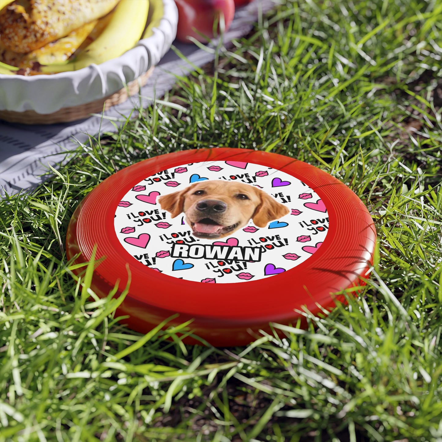 Thanksgiving Wham-O Frisbee